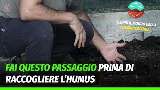 Lombricoltura e humus di lombrico | Prima di raccogliere il tu humus fai questo passaggio!