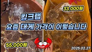 뭔 일이래..? 자연산 광어가 kg  18,000원/ 대게 킹크랩 현시점 가격은?  2월 27일  노량진 수산시장