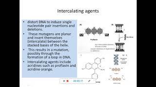 Mutations 6-Induced mutations