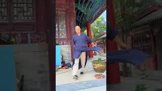 Shaolin Kungfu Iron Leg，#yanhao #shaolinkungfuyanhao  #shorts #kungfu #shortsfeed #shaolinkungfu