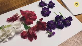 ARSLIBERI Мастерим Руками! Цветочный гербарий