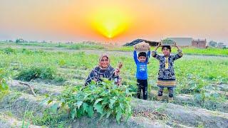 Goan Main Sham ki Routine ️‍‍‍II Happy Joint Family