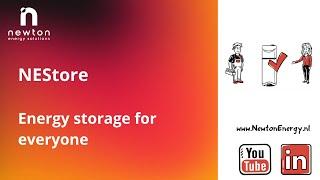 NEWTON ENERGY SOLUTIONS I NEStore - Energy storage for everyone