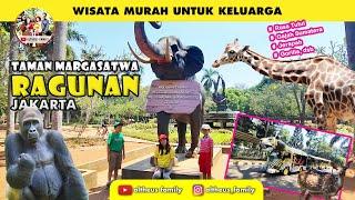 RAGUNAN ZOO | Info Lengkap Cara Beli Tiket | Fasilitas dan Aneka Satwa di Kebun Binatang ini