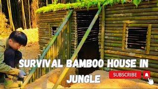 Building A Survival Cabin With Bamboo: Off Grid Cabin Build