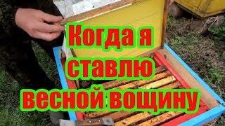 ПЕРВОЕ  ВЕСЕННЕЕ РАСШИРЕНИЕ ПЧЕЛИННЫХ ГНЁЗД ВОЩИНОЙ