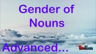 Gender of Nouns Y7 - 13