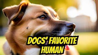 How Dogs Choose Their Favorite Person