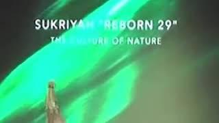REBORN29 Culture by Nature