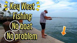 Key West Fishing from Land!