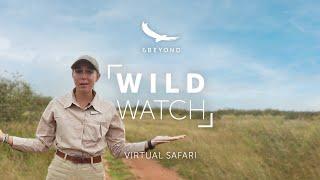Operation: Explore Ngala  | WILDwatch Virtual Safari Ep7