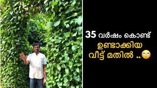 35 വർഷം കൊണ്ട് ഉണ്ടാക്കിയ വീട്ട് മതിൽ. House wall made in 35 years