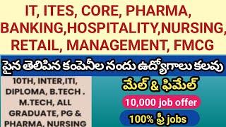 Vivida Company Nandu Udyogaavakaasalu - Male And Female Jobs - 10th Any Qualification Jobs