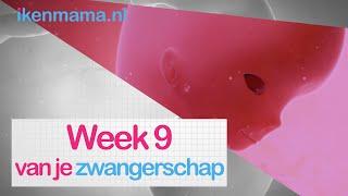 9 weken zwanger | ikenmama.nl