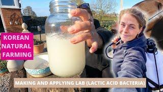 Applying Lactic Acid Bacteria as a Soil Drench - Improving Soil With Natural Regenerative Techniques