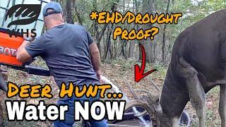 HUGE Deer Hunting Water Opportunity | Hunt Now!