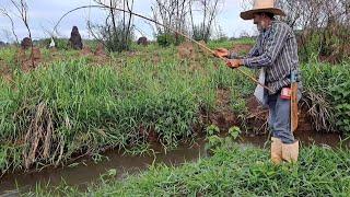 NUNCA JULGUE UM RIO PELA QUANTIDADE DE ÁGUA , PESCARIA DE BARRANCO COM VARA DE BAMBU./PESCARIA RAIZ.