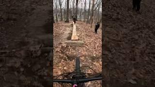 #gopro #mtb #mountainbiking #enduro #mtblife #downhill #bike #jump #mtbbois. #mountainbike #fun #fyp