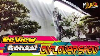 REVIEW BONSAI DI FLOWER SHOW