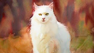 How to paint animal fur - painting a white cat in watercolor