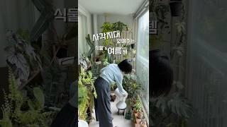 곰팡이,과습,해충 걱정? 이거 하나로 싹-해결 #서큘레이터 #공구중 ️ 게시물링크 #식물 #가드닝 #플랜테리어