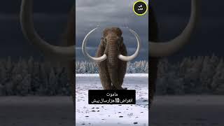 صدای جانواران منقرض شده#فکت#عجایب#دانستنی#فارسی#فان#مرموز#گیم#چالش#ایلومیناتی#فیلم#حقیقت