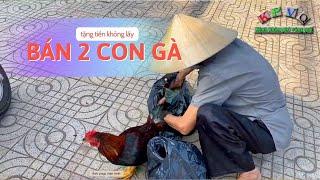 Bà cụ bán 2 con gà giữa nắng, tặng tiền nhưng nhất quyết không lấy vì lý do này