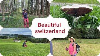 Hikes / Steigbach to Trogen / Appenzell Ausserrhoden/ Wanderung