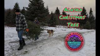 Preparing for the Holidays | Cutting our Alaskan Christmas Tree