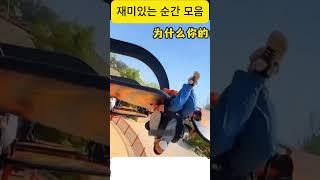 고품질 재미있는 순간 포착
