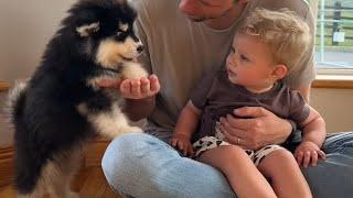 Adorable Baby Boy Meets New Puppy For The First Time (Cutest Ever!!)