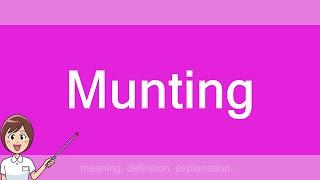 Munting