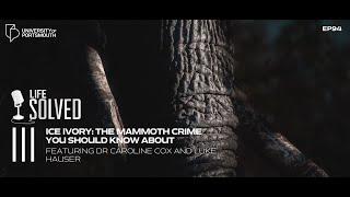 Ice Ivory - the mammoth crime you should know about | Life Solved