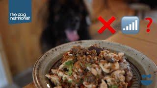 Debunking "Complete" Dog Food | Dog Nutrition Lessons | Ep 4.