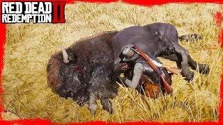 RDR2 Hunting Bison / Hunting and skinning with John Marston Gameplay