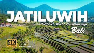 4K Drone Tour: UNESCO World Heritage Site in Bali | Jatiluwih Rice Terrace with Relaxing Music