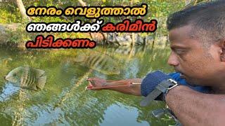 നേരം വെളുത്താൽ ഞങ്ങൾക്ക് ഇങ്ങനെ കരിമീൻ വേണം .../ VILLAGE FISHING