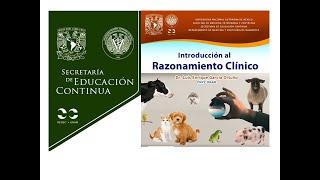 Introducción al razonamiento clínico