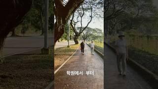 필리핀 클락 토크어학원앞 아침산책코스 추천! 학원부터 클락사파리까지 #카페 #클락#토크어학원#아침산책#시니어어학연수#필리핀어학연수