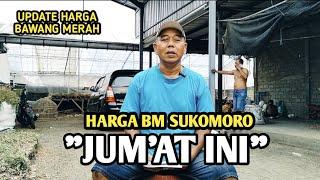 HARGA BM SUKOMORO JUM'AT INI | UPDATE HARGA BAWANG MERAH BJM CHANNEL