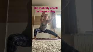 Hip mobility check