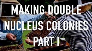 Making Double Nucleus Colonies Part I