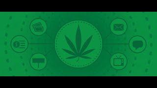 Winners and losers in The Cannabis Market | T. Gedo, Cannafest 2015