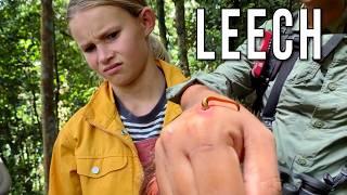 Kids Travel to Borneo Rainforest Looking for Wild Orangutans NOT Leeches! PART 2 Malaysia