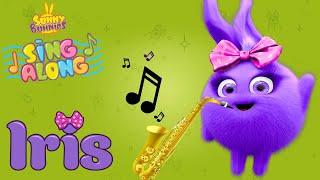 SUNNY BUNNIES - Iris Music Video | SING ALONG Compilation | Cartoons for Children