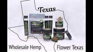 Wholesale Hemp Flower Texas - Buy Bulk Hemp Here