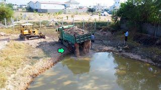 New Project!! Dozer D20 Mitsubishi & Truck 5T Pour soil on Pond to Planting seedlings