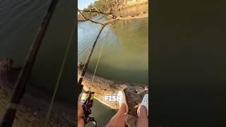 Big Fish On! #fishing #shorts