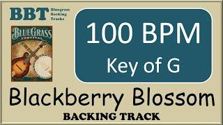 Blackberry Blossom - bluegrass backing track