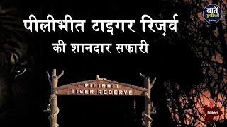 Pilibhit Tiger Reserve की शानदार सफारी | पीलीभीत टाइगर रिज़र्व | Pilibhit Tiger Reserve Safari